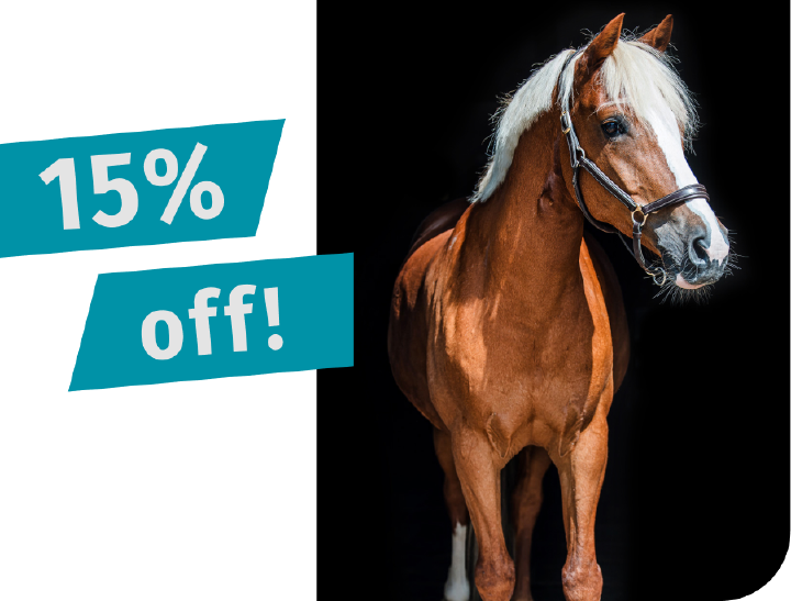 Einstiegsbanner Perd Prozente Black Week schwarz